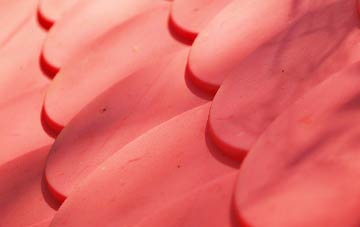 Branton Green plastic roof costs