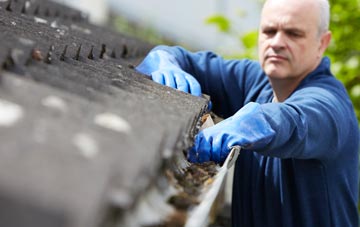 cleaning and inspecting Branton Green roofs