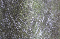 Branton Green fibreglass roof work